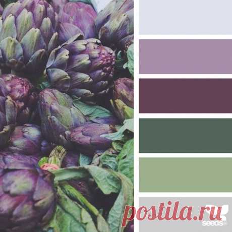 Природная палитра / Тенденции / ВТОРАЯ УЛИЦА