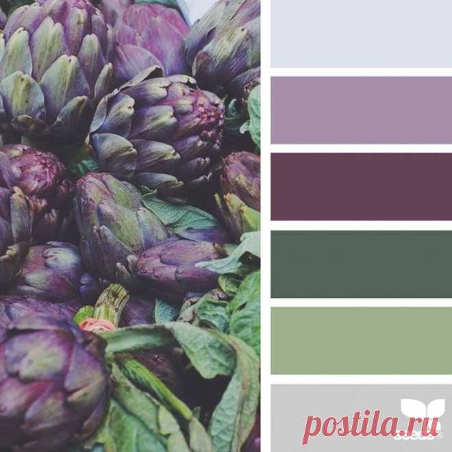 Природная палитра / Тенденции / ВТОРАЯ УЛИЦА
