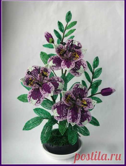 ​Альстромерия из бисера Альстромерия из бисераСочетание матового и глянцевого бисера делает ее оригинальной.