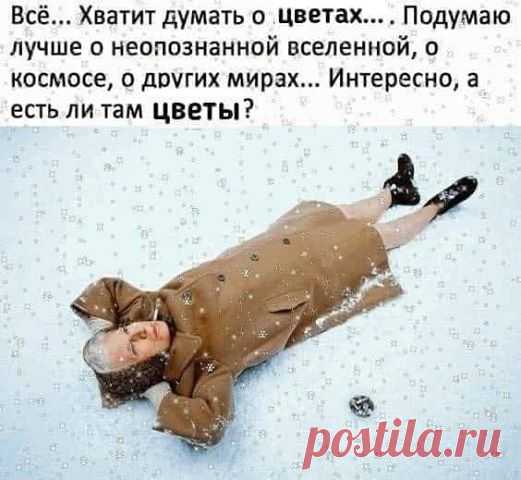 всегда новые и смешные картинки с подписями))) присоединяйтесь! ПРИКОЛЫ ЮМОР ШУТКИ ツ группа фейсбук