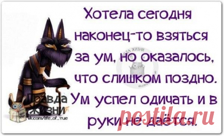 ГОРЯЧИЕ ТЕМЫ ЖИЗНИ