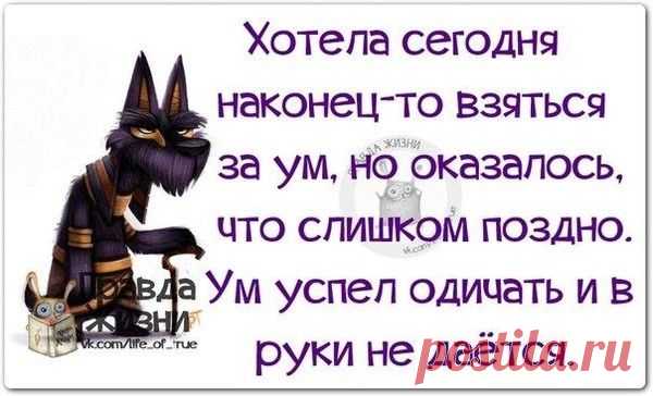 ГОРЯЧИЕ ТЕМЫ ЖИЗНИ