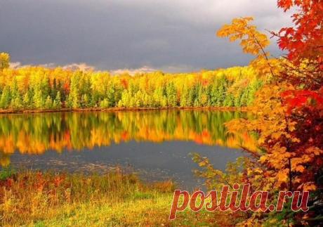 КАКИЕ КРАСКИ!!!... ТОЛЬКО ОСЕНЬЮ ТАК БЫВАЕТ!!!...
