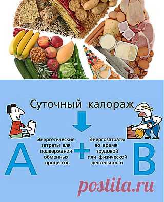 (+1) тема - Постулаты правильного питания. Часть I | Диеты со всего света