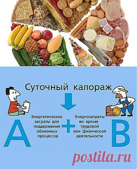 (+1) тема - Постулаты правильного питания. Часть I | Диеты со всего света