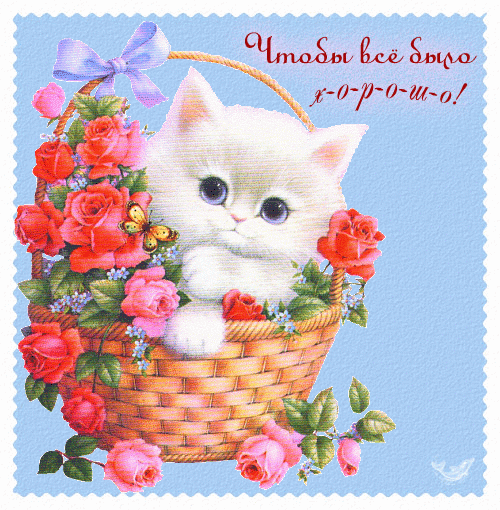 Красочные открытки ко Дню Рождения