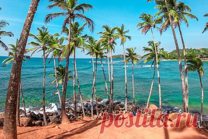 Россиянка месяц прожила на Шри-Ланке и назвала плюсы и минусы курорта. Российская туристка прожила месяц на Шри-Ланке и рассказала о достоинствах и недостатках курорта. Главным плюсом острова девушка назвала благоприятную погоду, разнообразие активностей и красивую природу. «Шри-Ланка — не соседние Мальдивы, если хотите весь отдых нежиться на белоснежном пляже», — заявила она.