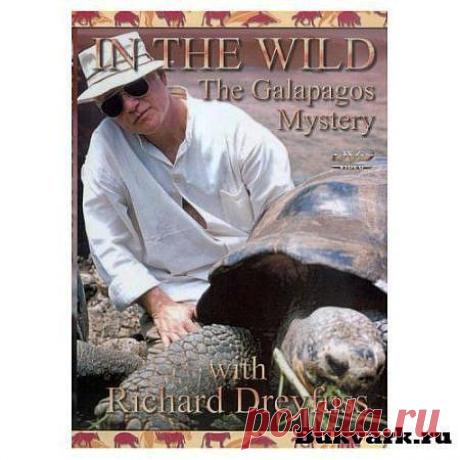 Ричард Дрейфус и Галапагосские тайны / The Galapagos mistery with Richard Dreyfuss » Bukvark.ru - скачать программы бесплатно - winrar, winamp, qip, download master, nod32, nero и другой софт