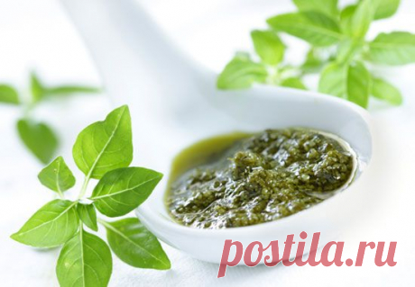 Готовим Песто – самый популярный соус итальянской кухни - Вкусные рецепты