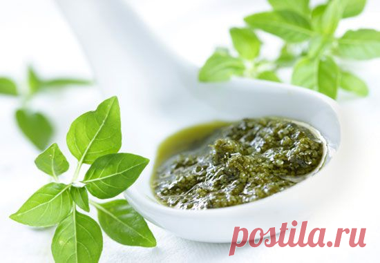 Готовим Песто – самый популярный соус итальянской кухни - Вкусные рецепты