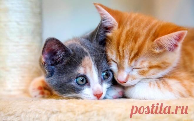 (5) ПРОДАВЩИЦА - ДОСТОЙНАЯ ЖИЗНЬ НА ПЕНСИИ - 12 сентября - 43413694295 - Медиаплатформа МирТесен