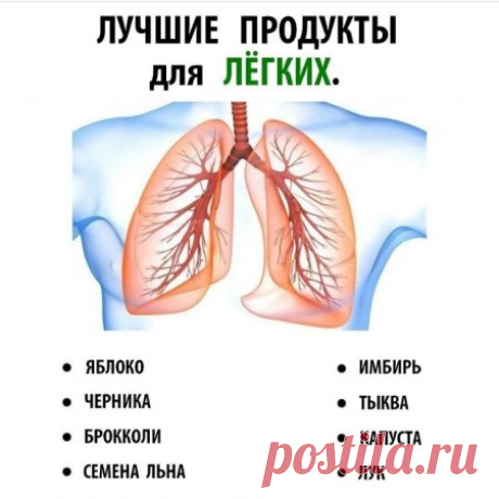 Лучшие продукты для здоровья лёгких