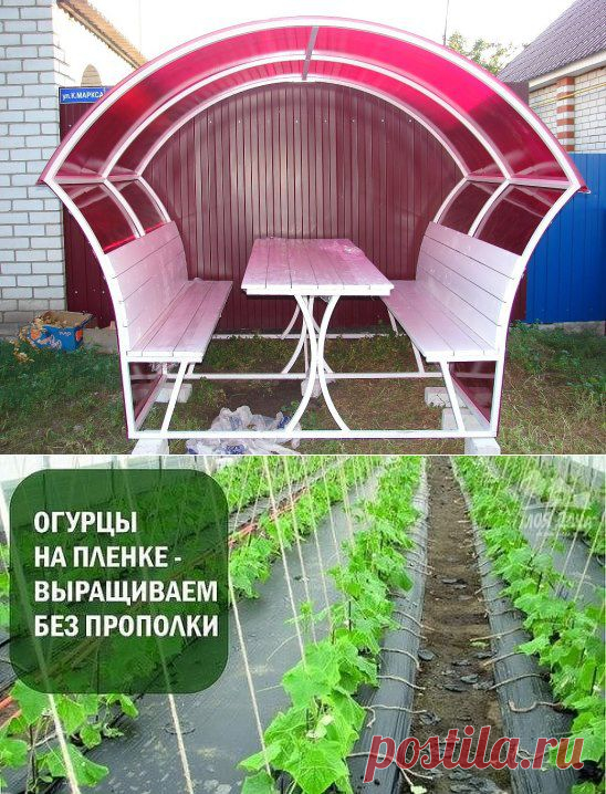 (23) Одноклассники
