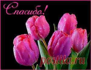 Учим английский алфавит. Уроки тетушки Совы. Мультфильм..