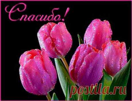 Учим английский алфавит. Уроки тетушки Совы. Мультфильм..