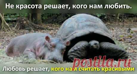 Афоторизмы dj_talay'a