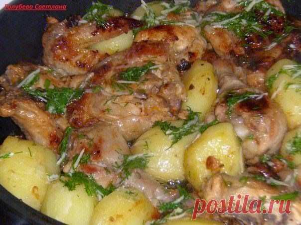 Шустрый повар.: Курочка в кефире