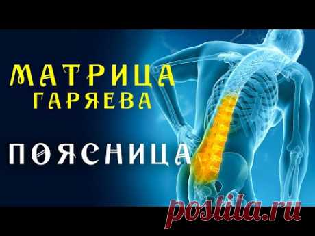 Единственная Матрица Гаряева для Поясницы ☀️ Полное Восстановление Суставов Звуком