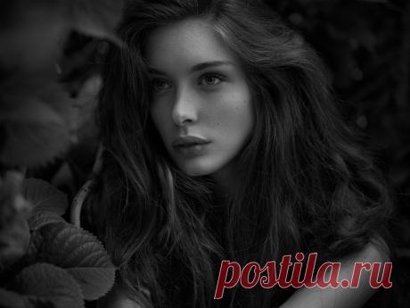 Silvia by Peter Coulson