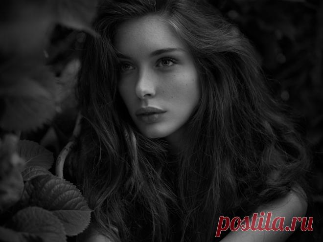 Silvia by Peter Coulson