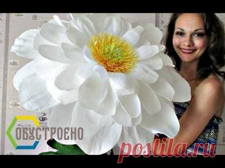 Чувствую себя Дюймовочкой :) РОМАШКА из гофрированной бумаги. Часть 1