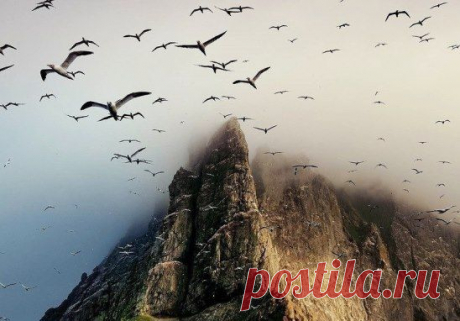 Никогда не лги тому, кто тебе доверяет. Никогда не доверяй тому, кто тебе солгал.
СОХРАНИТЬУстановить себе