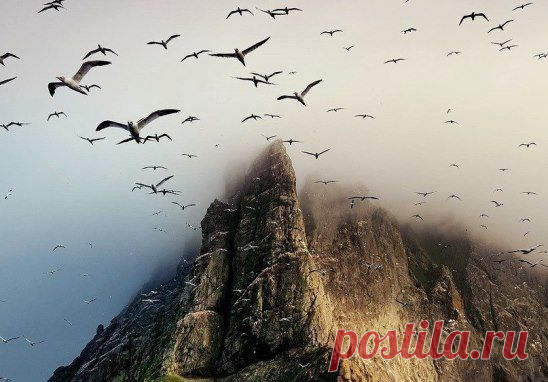 Никогда не лги тому, кто тебе доверяет. Никогда не доверяй тому, кто тебе солгал.
СОХРАНИТЬУстановить себе