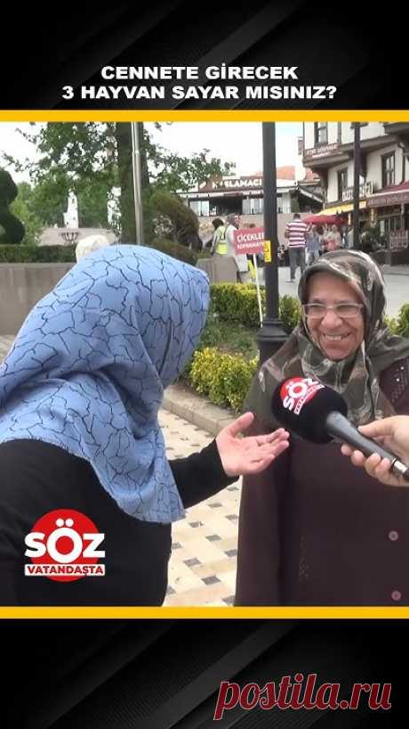 Cennete Girecek Hayvanlardan 3 Tanesini Sayar mısınız?