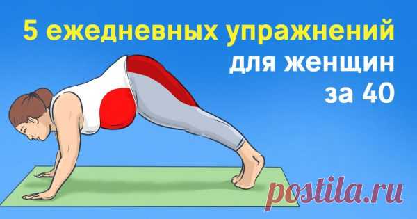 Собака мордой вниз