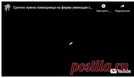 Срочно нужна помощница на ферму умеющая считать до 5ти &amp;#8212; Усадьба Белая Коза