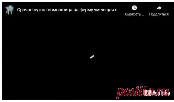 Срочно нужна помощница на ферму умеющая считать до 5ти &#8212; Усадьба Белая Коза