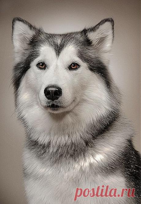 фотомодель