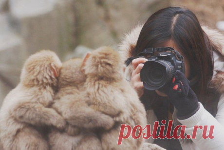 Фотошоп.
