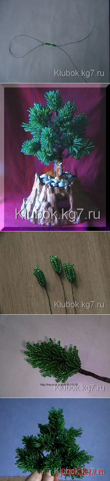 Сосенки.
