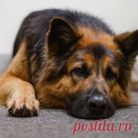 Не думал, что снова тебя увижу - OGADANIE.RU