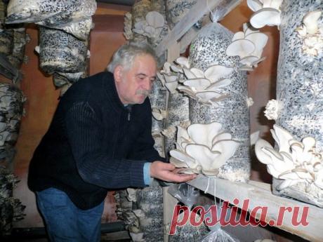 (99) Одноклассники