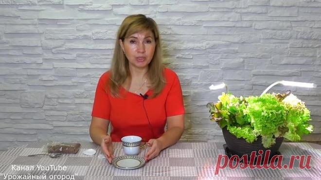 ЗАБУДЬТЕ О МОРЩИНАХ НАВСЕГДА!ДОМАШНЯЯ МАСКА СУПЕР ЭФФЕКТ!