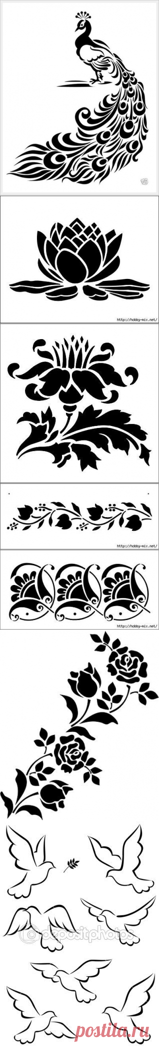(81) Pinterest
