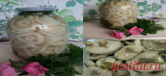 КАК СОЛИТЬ ГРУЗДИ. Записываем и тут же пробуем сделать. Вкуснятинка — Полезные советы