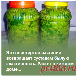 Это перетертое растение возвращает суставам былую эластичность. Растет в каждом доме...
БОЛЕЗНИ СПИНЫ И СУСТАВОВ УСПЕШНО ЛЕЧАТСЯ ДАЖЕ В 60! КТО ГОВОРИТ, ЧТО ЭТО НЕВОЗМОЖНО - ХОЧЕТ НАЖИТЬСЯ НА ВАС!
Задача крема: искоренить причину болезни – плохое кровоснабжение, вернуть суставную и костную ткань в первоначальное, здоровое состояние.