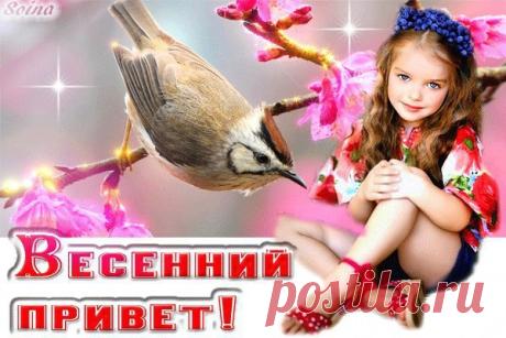 КРАСИВЫЕ КОЛЛАЖИ !