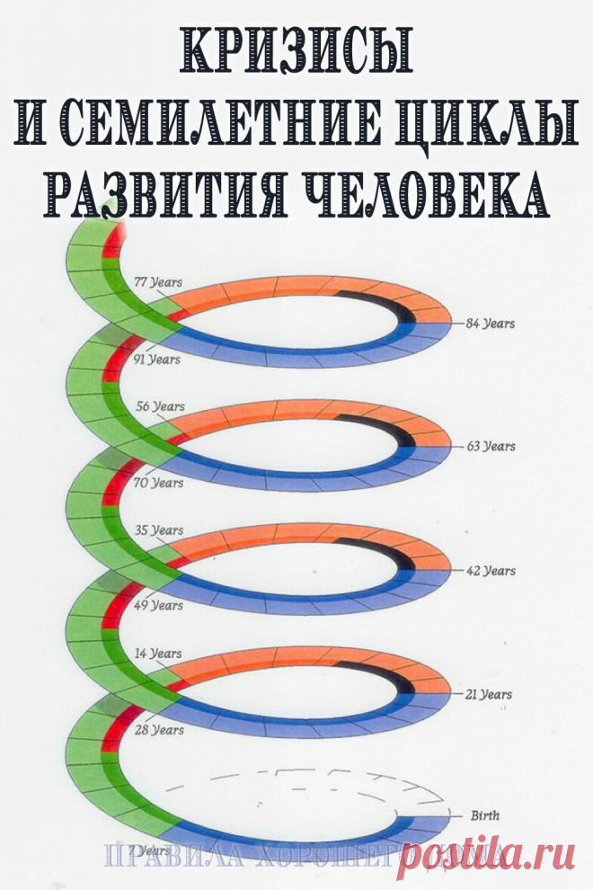 Циклы развития человека: детально о каждом возрасте - Счастливые заметки