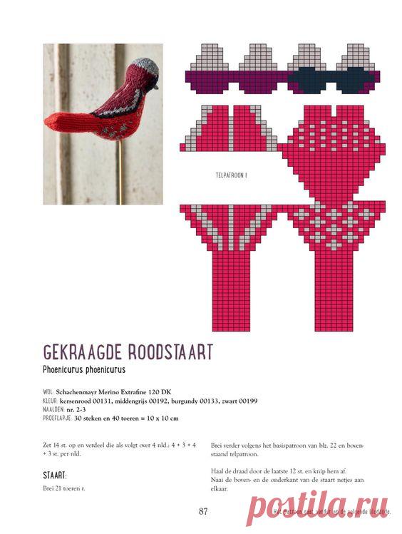 Vogels breien met Arne & Carlos - Arne Nerjordet en Carlos Zachrison