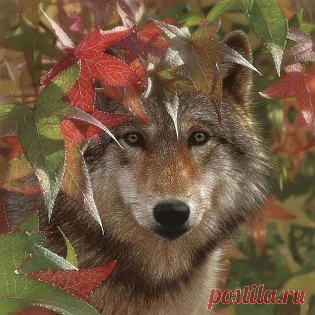 Alexander Zuch - в Кругу Друзей - социальная сеть