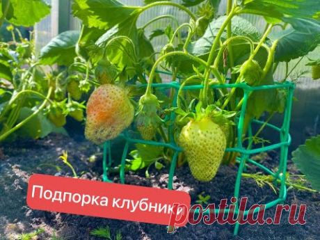 подпорка клубники