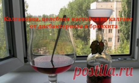 Калгановка, целебная настойка на калгане от дисбактериоза и бронхита