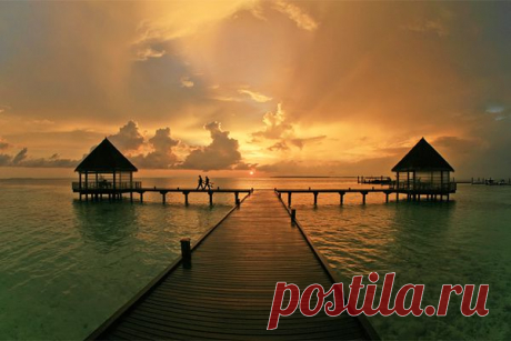 7 восточных правил чистоты – Фитнес для мозга