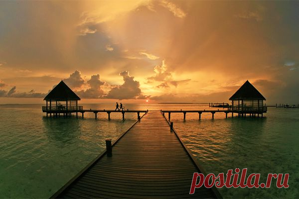 7 восточных правил чистоты – Фитнес для мозга