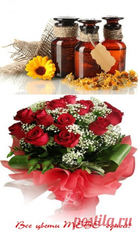 (30) Одноклассники