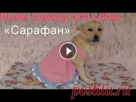 Шьем сарафанчик для собачки | Быстро и без выкройки Шьем сарафанчик для собачки | Быстро и без выкройки...
